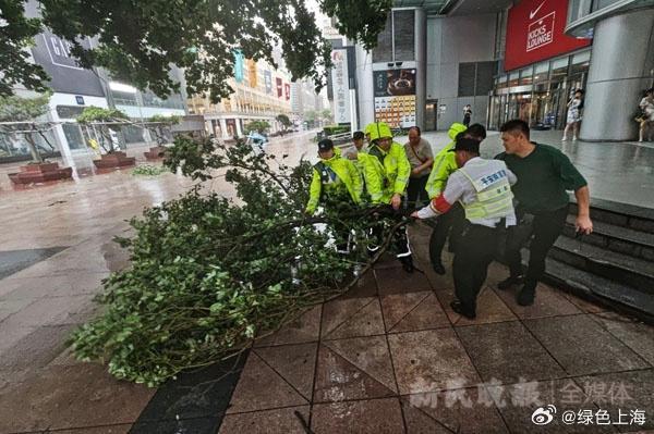 “江苏喜迎台风苗柏温情关怀，最新动态温暖播报”