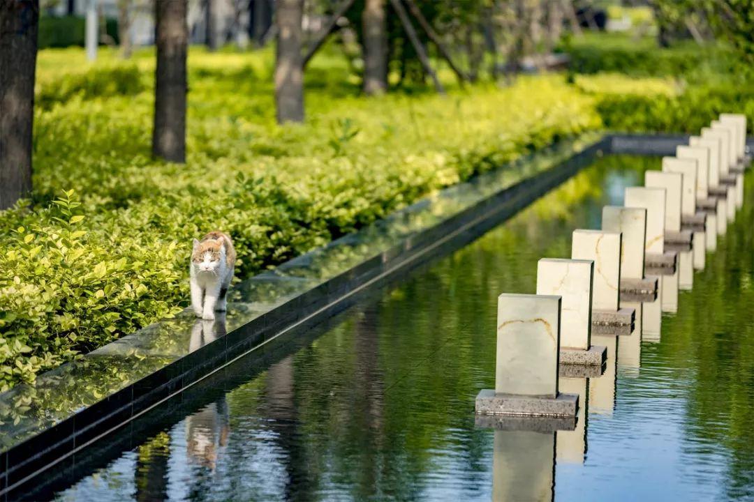 津南仁恒滨河湾喜讯来袭，优惠好价尽享美好家园！