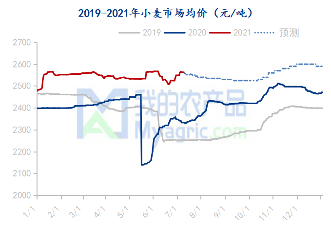 最新德州小麦市场行情