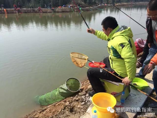 江湖风云录：揭秘最新黑坑钓鱼绝技视频集锦