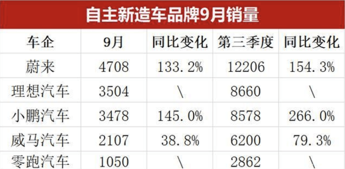 2025年蔚领销量盘点与市场口碑全面解读